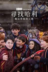 Finding Harry: The Craft Behind the Magic - Posters