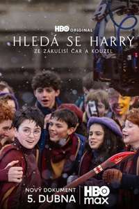 Finding Harry: The Craft Behind the Magic - Posters