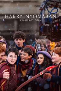 Finding Harry: The Craft Behind the Magic - Posters