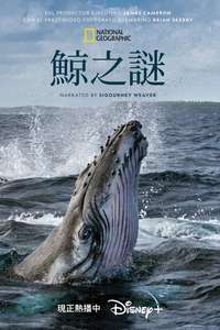 Secrets of the Whales - Posters