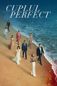 The Perfect Couple - Posters