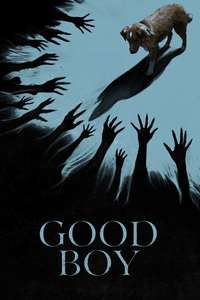 Good Boy - Posters