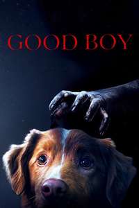 Good Boy - Posters