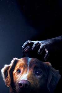 Good Boy - Posters