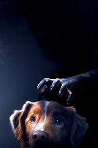Good Boy - Posters