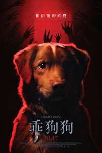 Good Boy - Posters