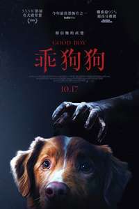 Good Boy - Posters