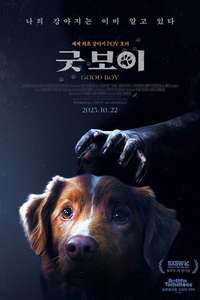 Good Boy - Posters