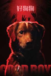 Good Boy - Posters