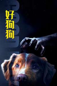 Good Boy - Posters