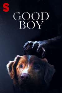Good Boy - Posters