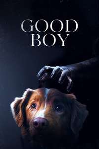 Good Boy - Posters