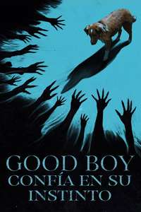Good Boy - Posters