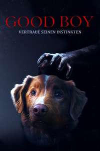Good Boy - Posters