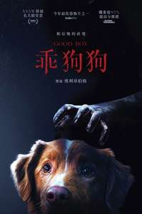 Good Boy - Posters