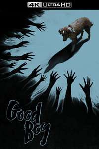 Good Boy - Posters