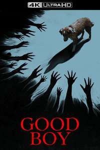 Good Boy - Posters