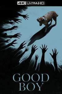 Good Boy - Posters
