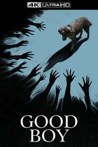Good Boy - Posters