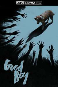 Good Boy - Posters