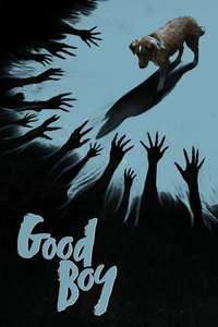 Good Boy - Posters