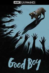 Good Boy - Posters
