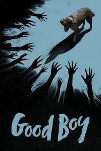 Good Boy - Posters