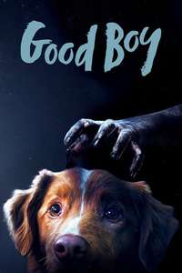 Good Boy - Posters