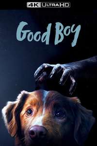 Good Boy - Posters