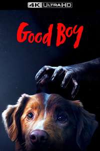 Good Boy - Posters
