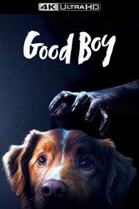 Good Boy - Posters