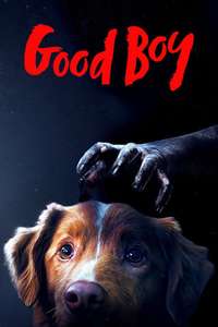Good Boy - Posters
