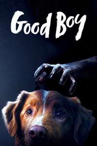Good Boy - Posters