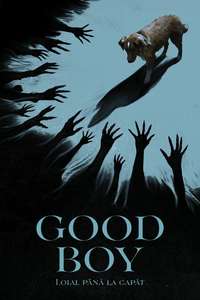 Good Boy - Posters