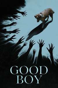 Good Boy - Posters