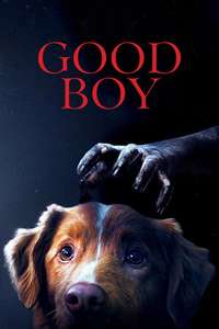 Good Boy - Posters