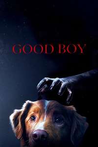 Good Boy - Posters