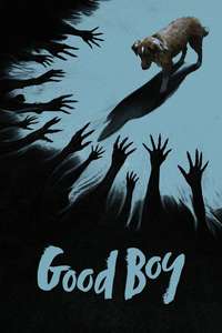 Good Boy - Posters