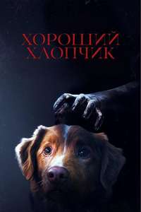 Good Boy - Posters