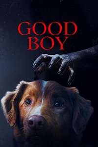Good Boy - Posters