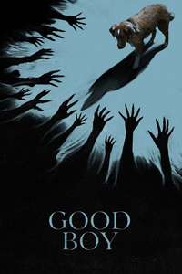 Good Boy - Posters