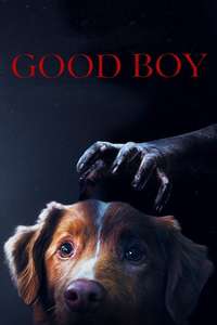 Good Boy - Posters