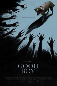 Good Boy - Posters