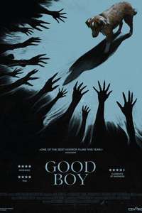 Good Boy - Posters