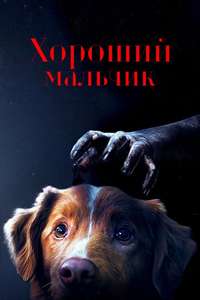 Good Boy - Posters