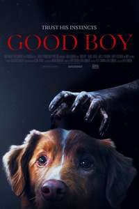 Good Boy - Posters