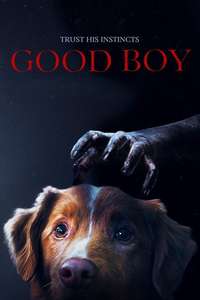 Good Boy - Posters