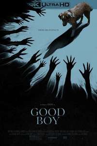 Good Boy - Posters