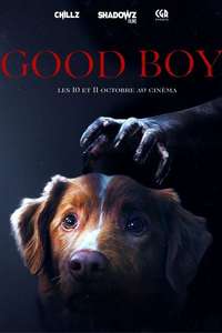 Good Boy - Posters