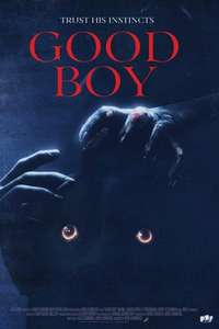Good Boy - Posters